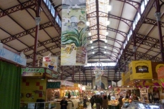 Expo-Pierre-Vacher-animation-halles-narbonne-2011-10