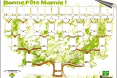 arbre-genealogique-halles_narbonne_retaille