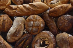 halles_narbonne_fete_du_pain_boulanger_2016_atelier_29-05-2016-26