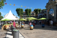 halles_narbonne_fete_musique_le_oai_les_oldies_2016-28