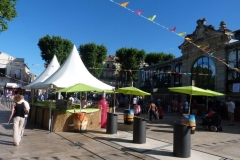 halles_narbonne_fete_musique_le_oai_les_oldies_2016-29