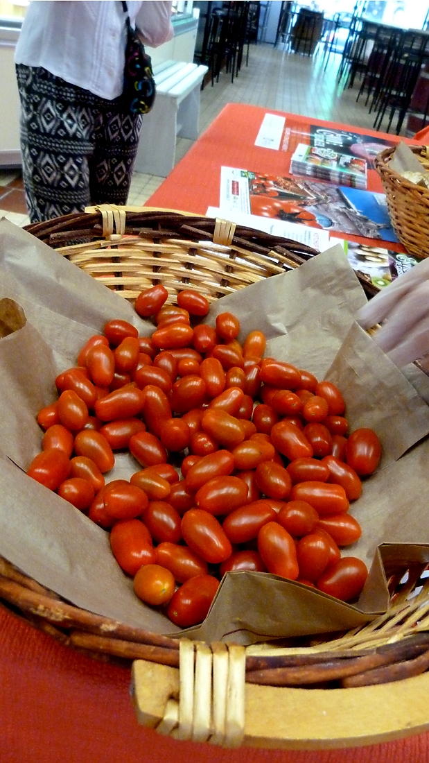 halles-narbonne-animation_tomate_rougeline_ketchup_maison-20-06-2017-9