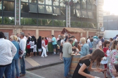 Fete_de_la_musique_2009_aux_halles_de_narbonne_(17)
