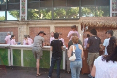 Fete_de_la_musique_2009_aux_halles_de_narbonne_(9)