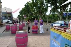 fete-musique-halles-de-narbonne-2011-10