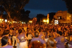 fete-musique-halles-de-narbonne-2011-106