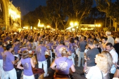 fete-musique-halles-de-narbonne-2011-108