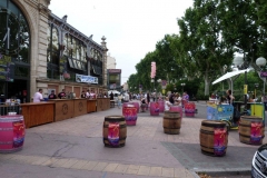 fete-musique-halles-de-narbonne-2011-22