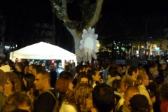 halles_de_narbonne_fete-de-la-musique-2013-26