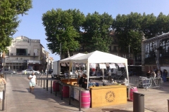 halles_de_narbonne_fete_de_la_musique_2014-02