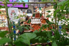 halles_narbonne_fete_fruits_legumes_frais_rougeline_15-06-2016-11