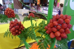 halles_de_narbonne_primeurs_fruits_legumes_frais_promotion_produits_locaux-31