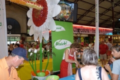 halles_de_narbonne_primeurs_fruits_legumes_frais_promotion_produits_locaux-66