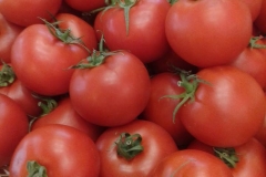 halles_narbonne_fraichattitude_fraise_abricot_tomate_melon_cerise_2014-15