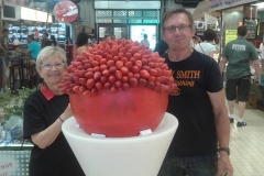 halles_narbonne_fraichattitude_fraise_abricot_tomate_melon_cerise_2014-18