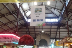 halles_narbonne_fraichattitude_fraise_abricot_tomate_melon_cerise_2014-29