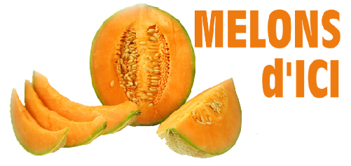 halles_narbonne_semaine_fraich_attitude_melon_primeurs_fruits_legumes_frais_2015