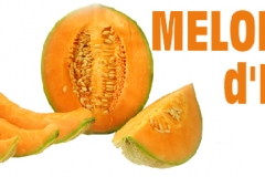 halles_narbonne_semaine_fraich_attitude_melon_primeurs_fruits_legumes_frais_2015