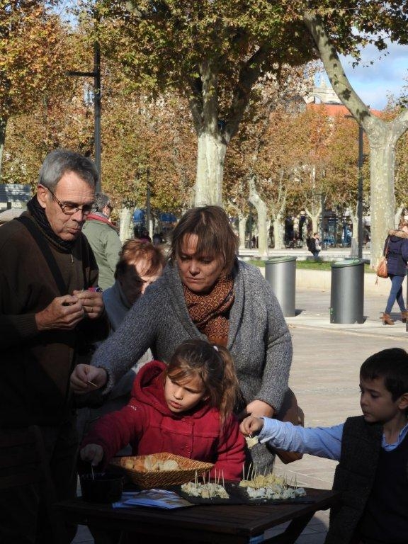 halles_narbonne_fromage_occitanie_irqualim_degustation_pelardon_rocamadour_bleu-des-causses_roquefort_tomme-pyrenees_laguiole_aop_igp19