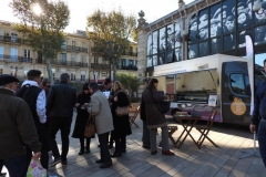 halles_narbonne_fromage_occitanie_irqualim_degustation_pelardon_rocamadour_bleu-des-causses_roquefort_tomme-pyrenees_laguiole_aop_igp10