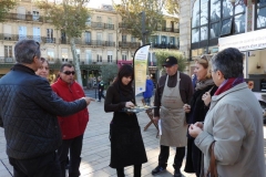 halles_narbonne_fromage_occitanie_irqualim_degustation_pelardon_rocamadour_bleu-des-causses_roquefort_tomme-pyrenees_laguiole_aop_igp12