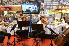 halles_narbonne_fete_de_la_gastronomie_gastronomissimes_buffet_violons_quatuor_en_cevennes_24-09-2017-31