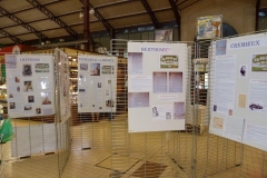 halles_de_narbonne_association_narbonnaise_genealogie_exposition_personnages_celebres_nes_a_narbonne-01