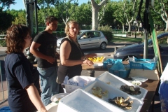 halles narbonne lacher de percus 2008 (17)