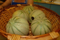 les_halles_de_narbonne_promotion_melon_de_pays_2013-06