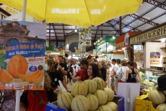 halles_narbonne_melon_pays_cathare_canguilhem_marco_malleus_promotion_2012_21