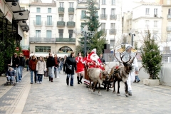 Halles_de_Narbonne_-Noel_2005_(42)