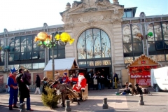 Halles_de_Narbonne_-Noel_2007_(121)