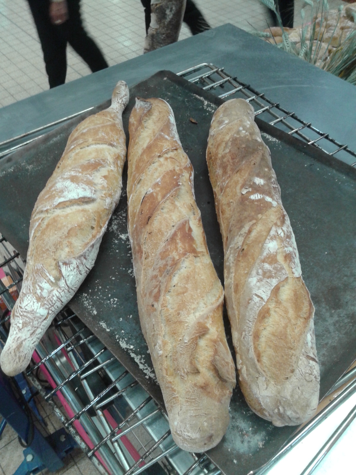 les_halles_de_narbonne_animation_pain_boulangers_boulangerie_epi-d-or_14_mai_2015-19