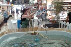 halles_narbonne_animation_poisson_poissonniers_2016-12