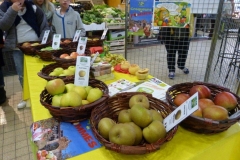 halles_narbonne_semaine_du_gout_pomme_2016-15