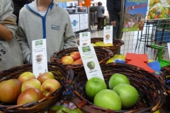 halles_narbonne_semaine_du_gout_pomme_2016-17