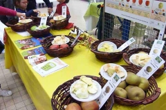 halles_narbonne_semaine_du_gout_pomme_pressurage_craboulette15-10-2016-08