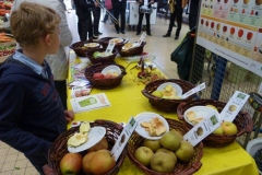 halles_narbonne_semaine_du_gout_pomme_pressurage_craboulette15-10-2016-17