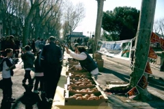 Halles_Narbonne_2004_-_Semaine_du_gout_(8)