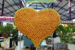 les_halles_de_narbonne_semaine_du_gout_2012-16