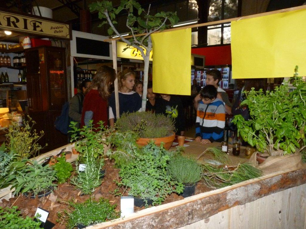 les_halles_de_narbonne_semaine_du_gout_ateliers_pedagogiques_16-10-2013-06