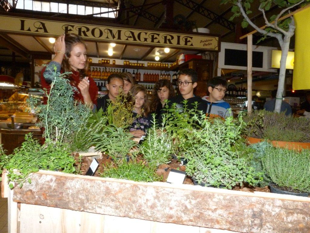 les_halles_de_narbonne_semaine_du_gout_ateliers_pedagogiques_16-10-2013-13