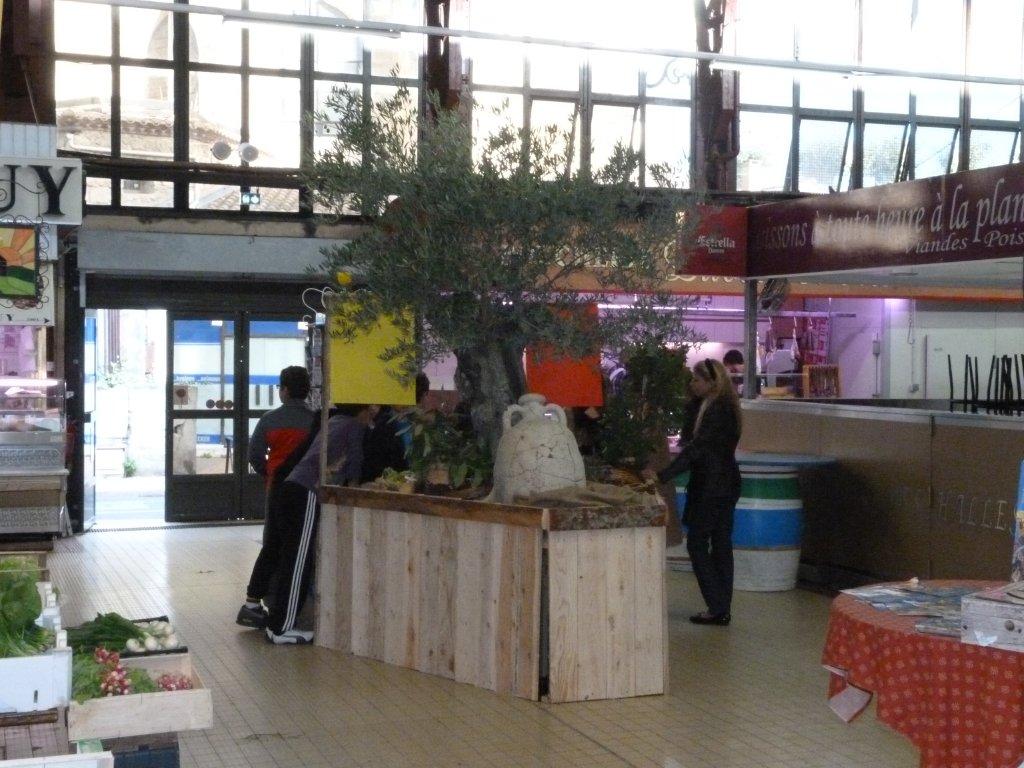 les_halles_de_narbonne_semaine_du_gout_ateliers_pedagogiques_16-10-2013-14