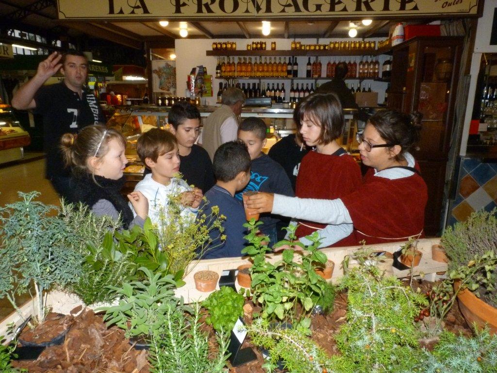 les_halles_de_narbonne_semaine_du_gout_ateliers_pedagogiques_2013-07