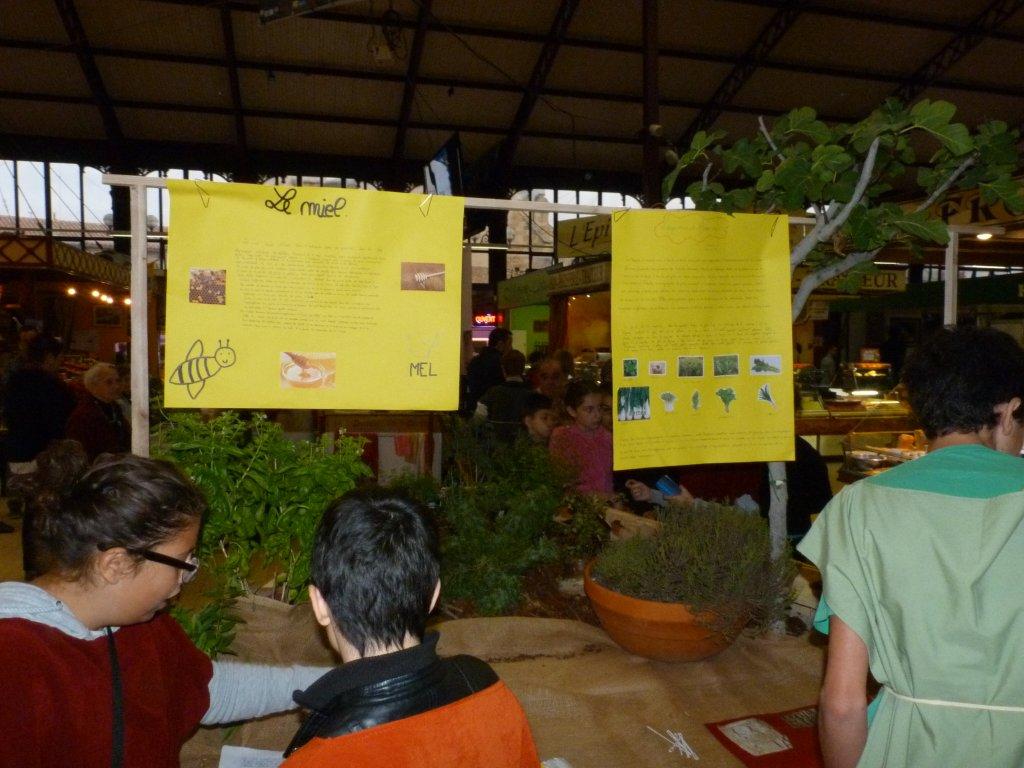 les_halles_de_narbonne_semaine_du_gout_ateliers_pedagogiques_2013-16