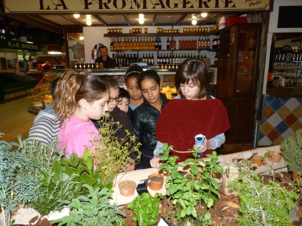 les_halles_de_narbonne_semaine_du_gout_ateliers_pedagogiques_2013-17