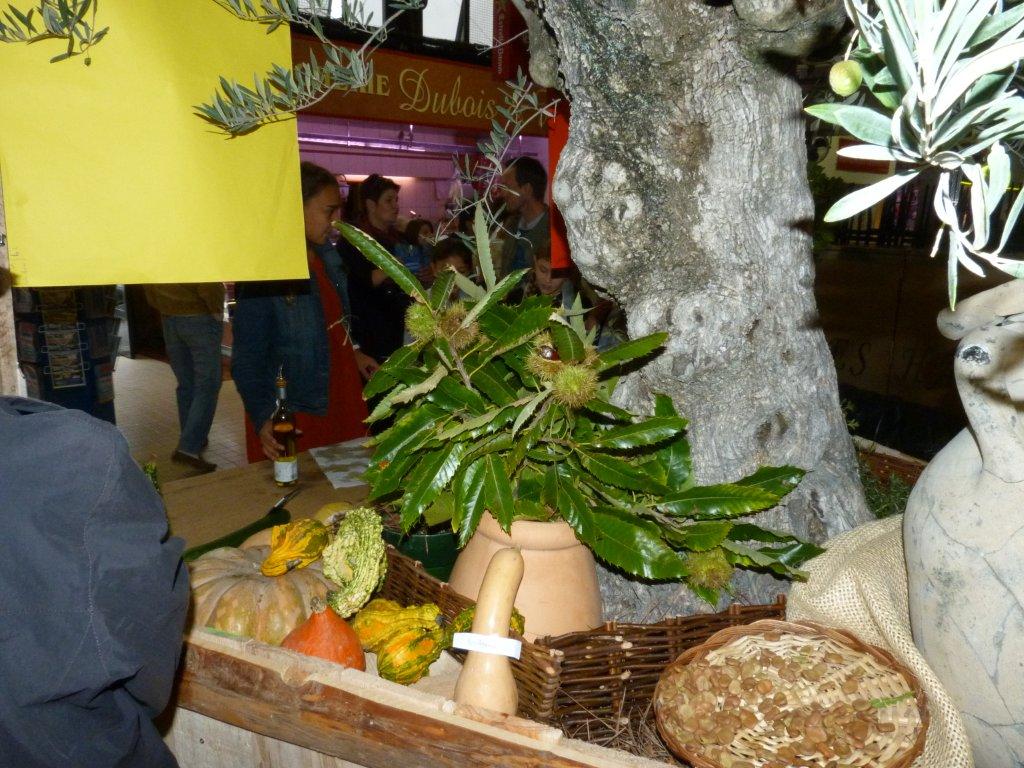les_halles_de_narbonne_semaine_du_gout_ateliers_pedagogiques_2013-30