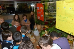 les_halles_de_narbonne_semaine_du_gout_ateliers_pedagogiques_16-10-2013-09