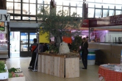 les_halles_de_narbonne_semaine_du_gout_ateliers_pedagogiques_16-10-2013-14