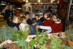 les_halles_de_narbonne_semaine_du_gout_ateliers_pedagogiques_2013-07